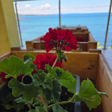 Πανσιόν The Yellow House 3*