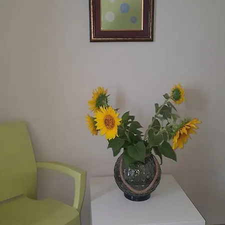The Yellow House Guest house 3*